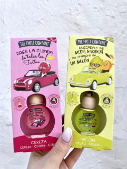 AMBIENTADOR COCHE