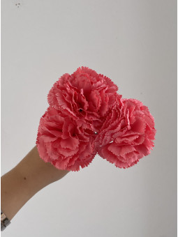 CLAVEL FLAMENCA PEQUEÑO