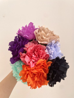 PEONÍA PEQUEÑA FLOR FLAMENCA