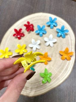 MINI PINZA HAWAIANA