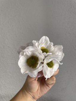 AMAPOLA FLOR FLAMENCA